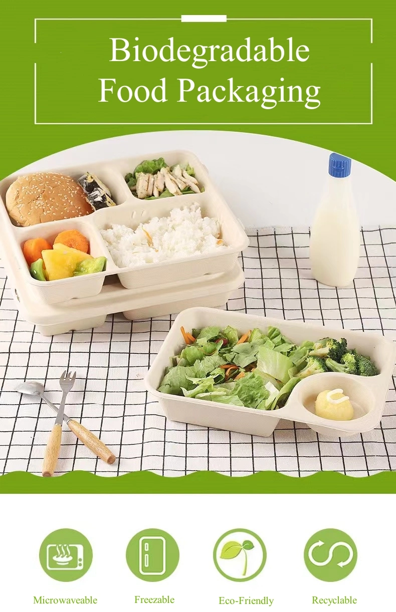 Disposable Biodegradable 4 Compartment Sugarcane Bagasse Tray Square Containers Fast Food Lunch Box Packaging