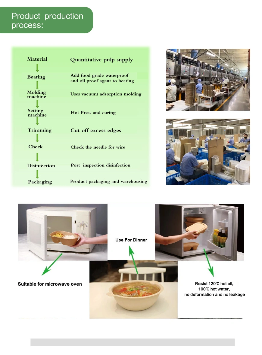 Biodegradable Takeaway Food Packaging Pizza Hamburger Burger Bento Meal Fast Food Takeout Pulp Lunch